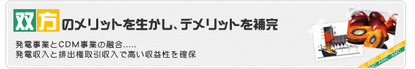 双方のメリットを生かし、デメリットを補完